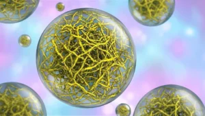 The Filamentous Ultrastructure of the PopZ Condensate is Required for its Cellular Function