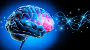 Brain’s "Microsleeps" During Wakefulness Linked to Attention Deficits in Adults with ADHD