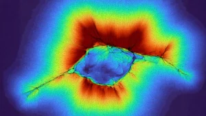 Cells Can Sense Far Beyond Their Immediate Touch: New Research Reveals Collective Sensing in Ordinary Tissues