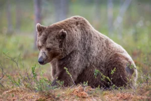 Crypto firms cut hundreds of jobs in weeks, blaming weak markets, strong AI