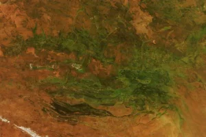 Image of the Day for March 19, 2026: Central Australia’s Desert Bloom Amidst Extreme Weather