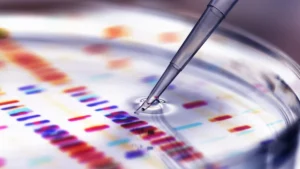 Quantifying the Chuckle: New Research Uncovers the Infrequent Success of Humor in Scientific Presentations