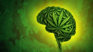 The Lancet Study Reveals Medicinal Cannabis Ineffective for Anxiety, Depression, and PTSD