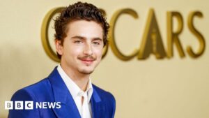 Timothée Chalamet’s Oscar Ascent Faces Unprecedented Scrutiny Amidst Public Backlash