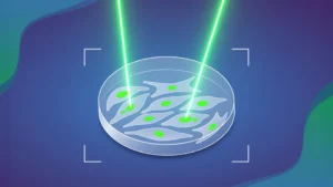 Unlocking Cancer’s Origins: AI Tool Revolutionizes the Study of Chromosomal Aberrations