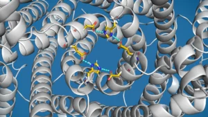 Unraveling the Lysosomal Overflow Valve: TMEM175 Ion Channel’s Crucial Role in Cellular Waste Management and Neurodegenerative Disease Treatment
