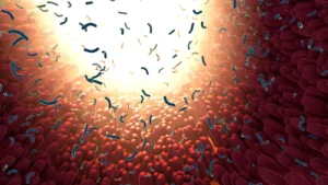 Marshall University Researchers Uncover Gut Exosomes as Potential Drivers of Age-Related Inflammation and Chronic Disease