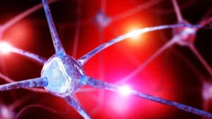 Unlocking the Brain’s Chemistry: Lower Choline Levels Linked to Anxiety Disorders