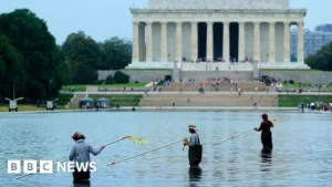 Former Olympian David Hearn Arrested Amid Controversy Over Washington D.C.’s Recently Renovated Reflecting Pool.