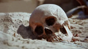 Prehistoric Plague: Ancient DNA Reveals Devastating Hunter-Gatherer Outbreaks 5,500 Years Ago