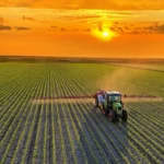 A Global Food System Overhaul by 2050: Healthier Diets, Smarter Farming, and Reduced Waste Could Reshape Agriculture and Land Use
