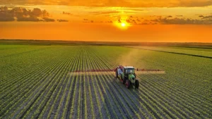 A Global Food System Overhaul by 2050: Healthier Diets, Smarter Farming, and Reduced Waste Could Reshape Agriculture and Land Use