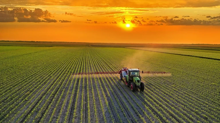 A Global Food System Overhaul by 2050: Healthier Diets, Smarter Farming, and Reduced Waste Could Reshape Agriculture and Land Use