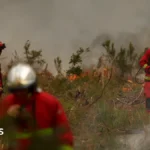 Europe Engulfed: Gigantic Wildfires Force Mass Evacuations and Cripple Infrastructure Across France and Spain Amidst Historic Heatwave