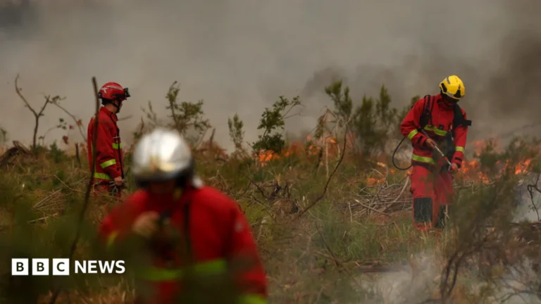 Europe Engulfed: Gigantic Wildfires Force Mass Evacuations and Cripple Infrastructure Across France and Spain Amidst Historic Heatwave