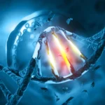 Inherited Genes Play a Pivotal Role in Shaping Cancer Development and Evolution