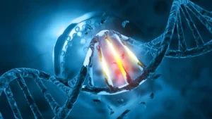 Inherited Genes Play a Pivotal Role in Shaping Cancer Development and Evolution