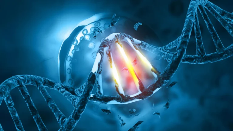 Inherited Genes Play a Pivotal Role in Shaping Cancer Development and Evolution