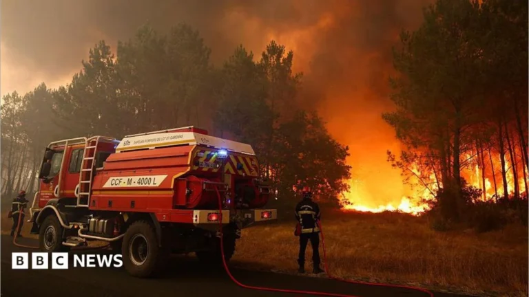 Massive Wildfires Force Tens of Thousands to Evacuate Across Europe Amid Unprecedented Heatwaves