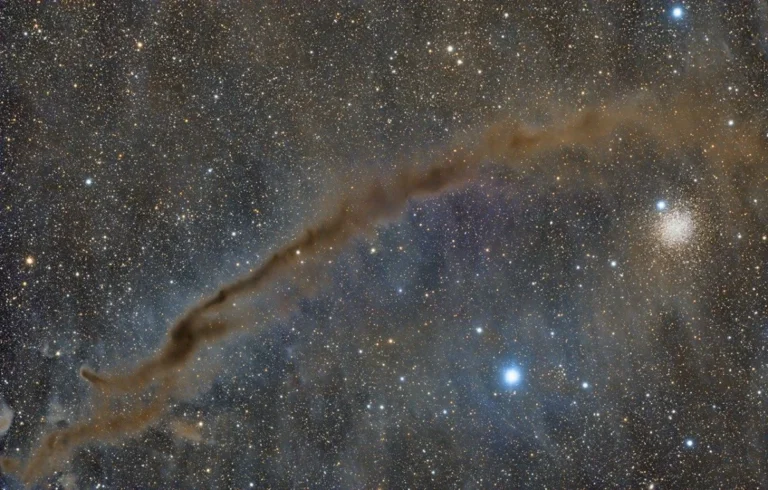 NASA’s Astronomy Picture of the Day Spotlights the Mysterious Dark Doodad Nebula, Revealing Stellar Nurseries and Cosmic Coincidences