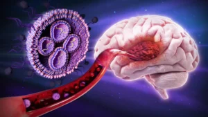 Oregon State University Researchers Unveil Promising New Strategy to Combat Glioblastoma