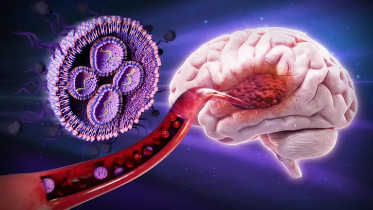 Oregon State University Researchers Unveil Promising New Strategy to Combat Glioblastoma