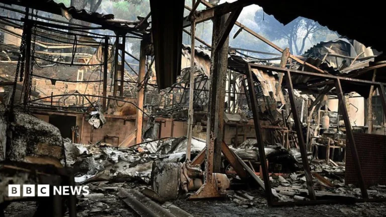 Spain Grapples with Historic Wildfires Amidst Extreme Heatwave, Sparking Mass Evacuations and Ecological Crisis