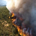 The Rising Heat: How Wildfires are Redefining Hotel Insurance and Operational Resilience in the Global Tourism Sector