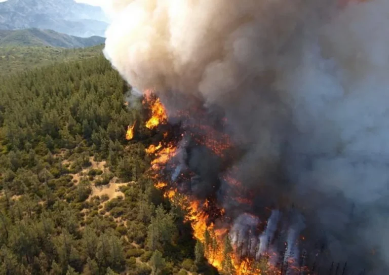 The Rising Heat: How Wildfires are Redefining Hotel Insurance and Operational Resilience in the Global Tourism Sector