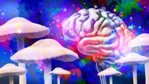 Unlocking the Mind: Psilocybin’s Persistent Brain Alterations Offer Clues to Therapeutic Potential