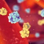 Unraveling the Intricacies of Protein Folding: A Breakthrough in Understanding Beta Cell Health and Diabetes Progression