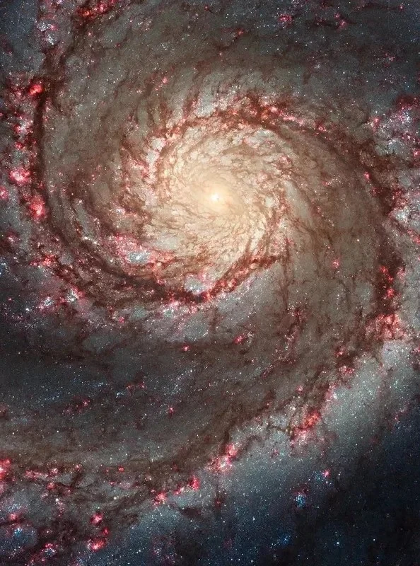 Unveiling NGC 4654: Hubble Captures a Galaxy in a Titanic Struggle Within the Virgo Cluster