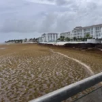 Mexico Allocates 115 Million Dollars to Combat Unprecedented Sargassum Invasion Threatening Caribbean Tourism and Ecosystems